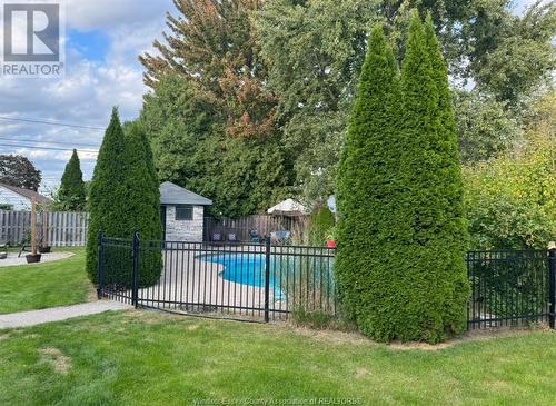 355 Jolly Avenue, Lasalle, ON - Outdoor With In Ground Pool