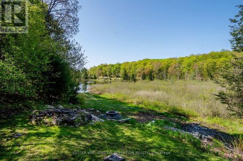 1020 Frau Lane, Bracebridge, ON - Outdoor With View