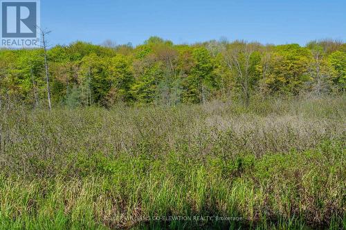 1020 Frau Lane, Bracebridge, ON - Outdoor With View