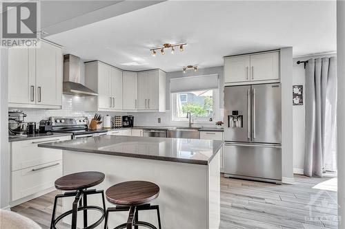 1441 Talcy Crescent, Ottawa, ON - Indoor Photo Showing Kitchen With Stainless Steel Kitchen With Double Sink