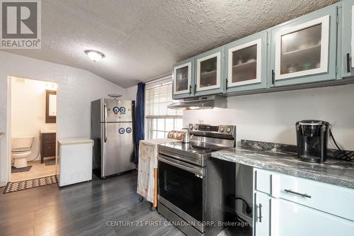 12 Adelaide Street S, London, ON - Indoor Photo Showing Kitchen