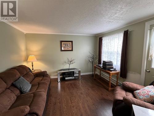 9 Rocky Pond Road, Spaniards Bay, NL - Indoor Photo Showing Living Room