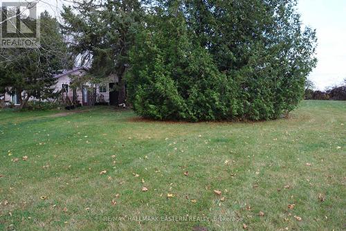 42 Cedarview Drive, Kawartha Lakes, ON - Outdoor