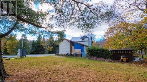 Some much room to run and play! - 240 2Nd Street E, Owen Sound, ON - Outdoor