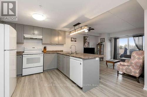 305 - 505 Margaret Street, Cambridge, ON - Indoor Photo Showing Kitchen