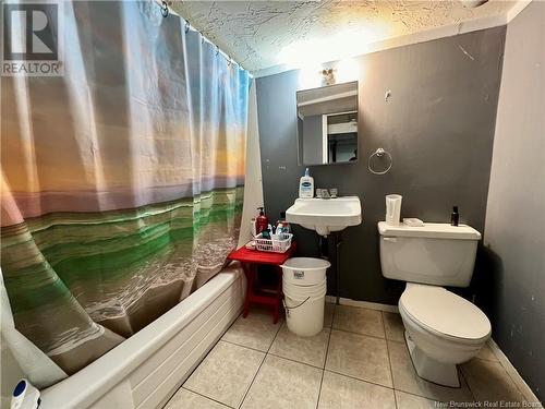 101 Connolly Street, Moncton, NB - Indoor Photo Showing Bathroom