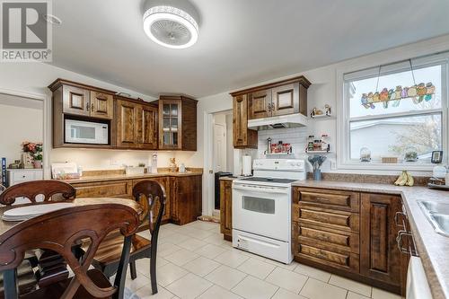 23 Suvla Street, St. Johns, NL - Indoor Photo Showing Kitchen With Double Sink