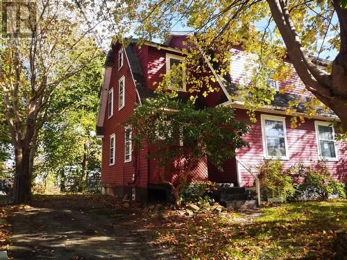 17 Cowan Avenue, St. John'S, NL - Outdoor