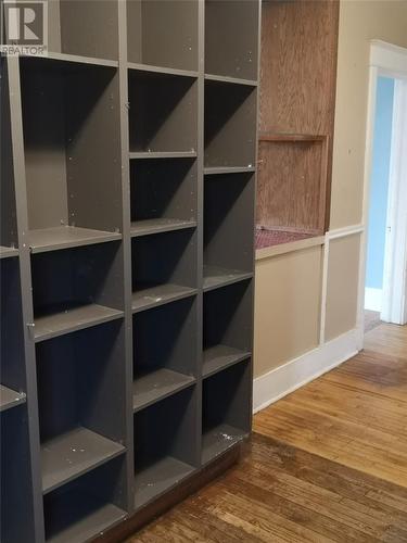 17 Cowan Avenue, St. John'S, NL - Indoor With Storage