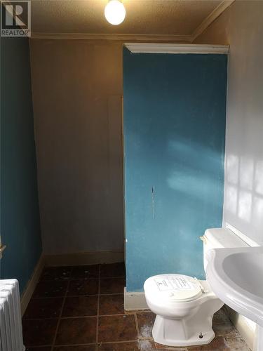 17 Cowan Avenue, St. John'S, NL - Indoor Photo Showing Bathroom