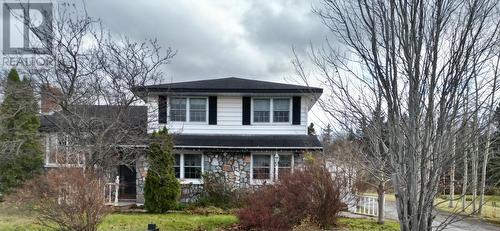 48 Elizabeth Avenue, Deer Lake, NL - Outdoor