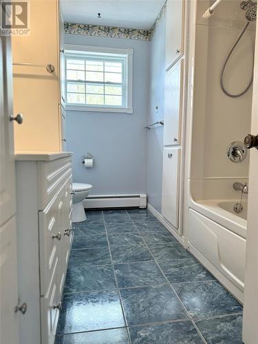 48 Elizabeth Avenue, Deer Lake, NL - Indoor Photo Showing Bathroom