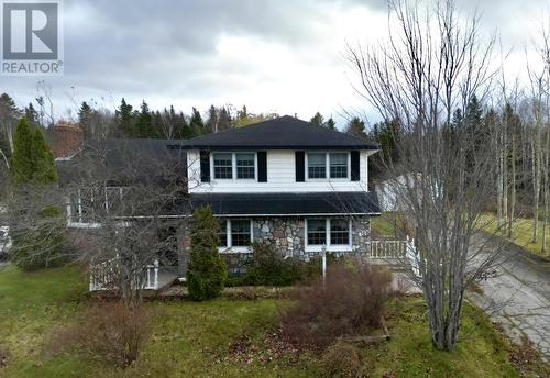 48 Elizabeth Avenue, Deer Lake, NL - Outdoor