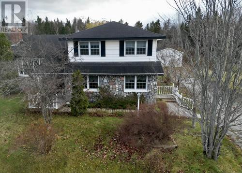 48 Elizabeth Avenue, Deer Lake, NL - Outdoor