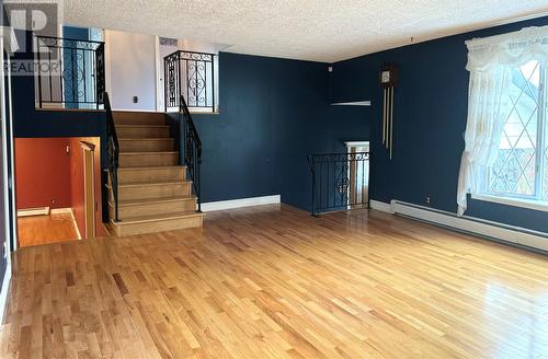 48 Elizabeth Avenue, Deer Lake, NL - Indoor Photo Showing Other Room