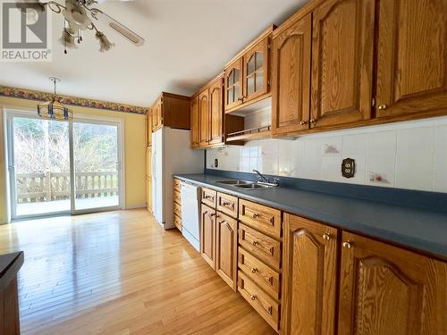 48 Elizabeth Avenue, Deer Lake, NL - Indoor Photo Showing Kitchen With Double Sink