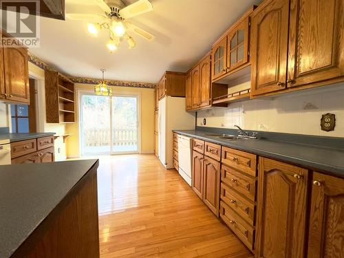 48 Elizabeth Avenue, Deer Lake, NL - Indoor Photo Showing Kitchen With Double Sink