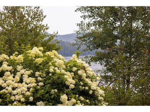 Vue d'ensemble - 11 Ch. Delmar, Saint-Donat, QC - Outdoor With View