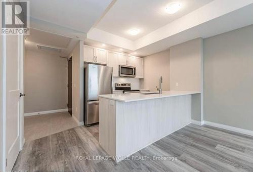 1106 - 108 Garment Street, Kitchener, ON - Indoor Photo Showing Kitchen