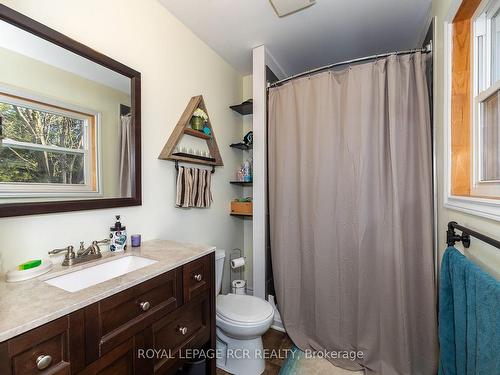 202 North St, Grey Highlands, ON - Indoor Photo Showing Bathroom