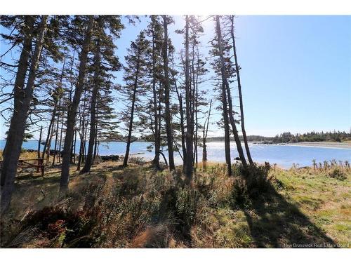 463 White Head Rd, Grand Manan, NB 