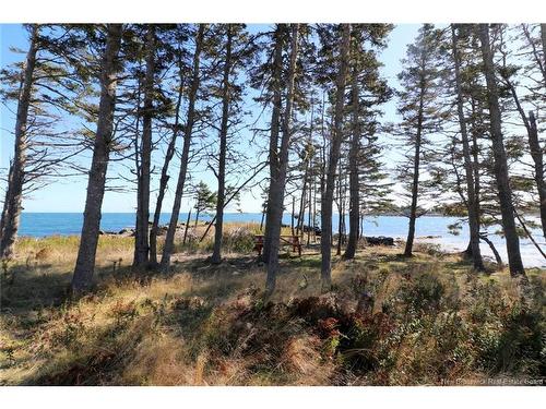 463 White Head Rd, Grand Manan, NB 