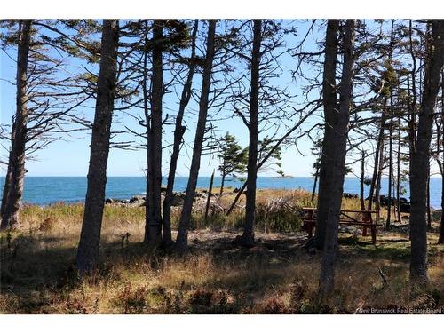 463 White Head Rd, Grand Manan, NB 