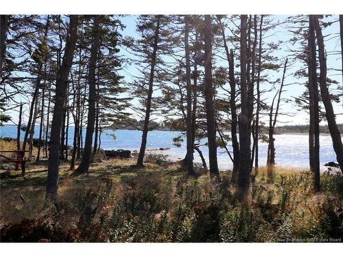 463 White Head Rd, Grand Manan, NB 