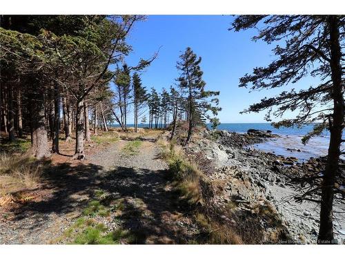 463 White Head Rd, Grand Manan, NB 