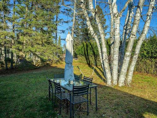 Cour - 1184  - 1186 Rue De La Sapinière, Val-David, QC - Outdoor With View