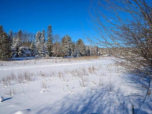 Overall view - 1184  - 1186 Rue De La Sapinière, Val-David, QC - Outdoor With View