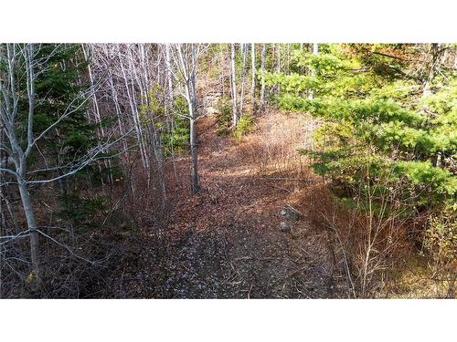 Lot Desherbiers Rd, Saint-Ignace, NB 