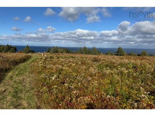 Lot Pid#01290402 Highway 337, Cape George Point, NS 