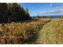 Lot Pid#01290402 Highway 337, Cape George Point, NS 