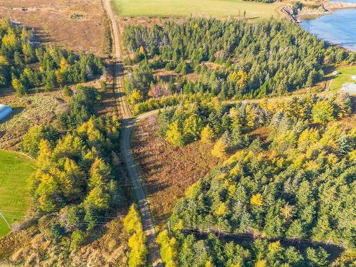 Lot 4B Lower Shore Road, Little Judique, NS 