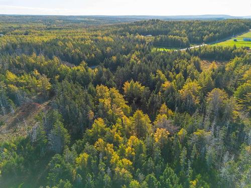 Lot 4B Lower Shore Road, Little Judique, NS 