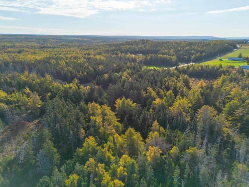 Lot 4B Lower Shore Road, Little Judique, NS 