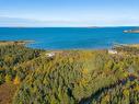 Lot 4B Lower Shore Road, Little Judique, NS 