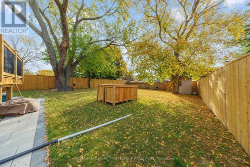 Bsmt - 57 Colonial Avenue, Toronto, ON - Outdoor With Backyard