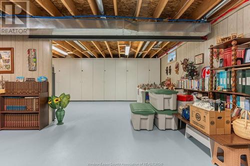 4013 St. Francis Crescent, Lasalle, ON - Indoor Photo Showing Basement