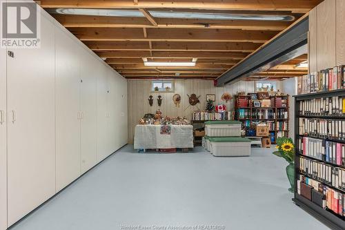 4013 St. Francis Crescent, Lasalle, ON - Indoor Photo Showing Basement