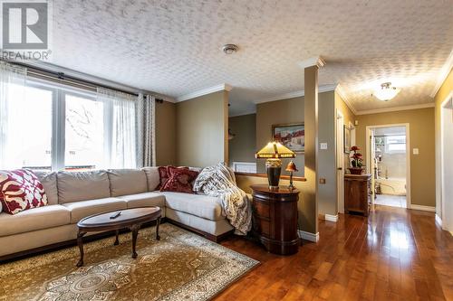 2 Pike Place, Mt Pearl, NL - Indoor Photo Showing Living Room