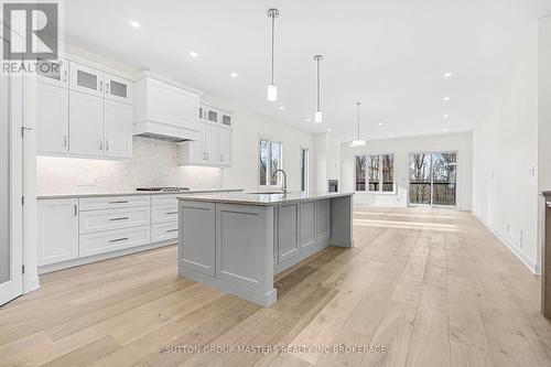 1633 Boardwalk Drive, Kingston (City Northwest), ON - Indoor Photo Showing Kitchen With Upgraded Kitchen