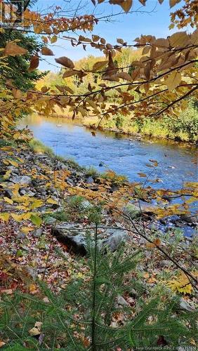 Lot Desherbiers Road, Saint-Ignace, NB 