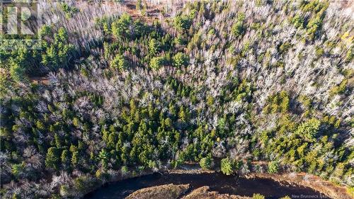 Lot Desherbiers Road, Saint-Ignace, NB 