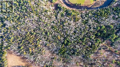 Lot Desherbiers Road, Saint-Ignace, NB 