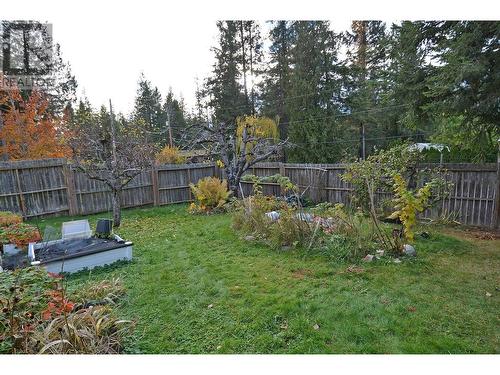 705 Giffin Avenue, Slocan, BC - Outdoor With Backyard