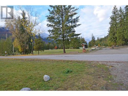 705 Giffin Avenue, Slocan, BC - Outdoor With View