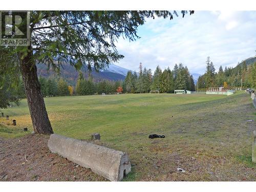 705 Giffin Avenue, Slocan, BC - Outdoor With View