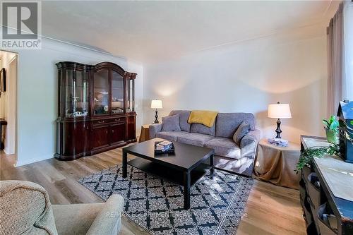 249 Fernwood Crescent, Hamilton, ON - Indoor Photo Showing Living Room